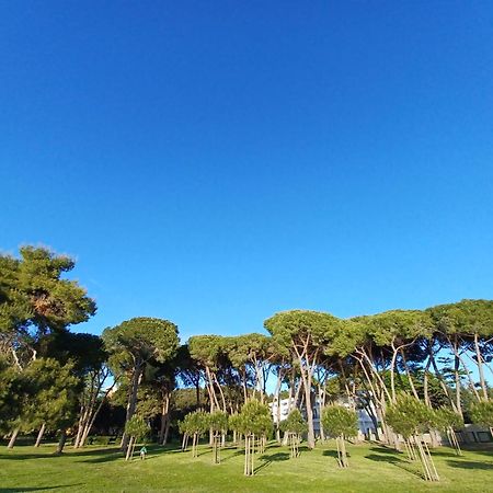 Family Apartments Zadar - Ryanair Exclusive エクステリア 写真