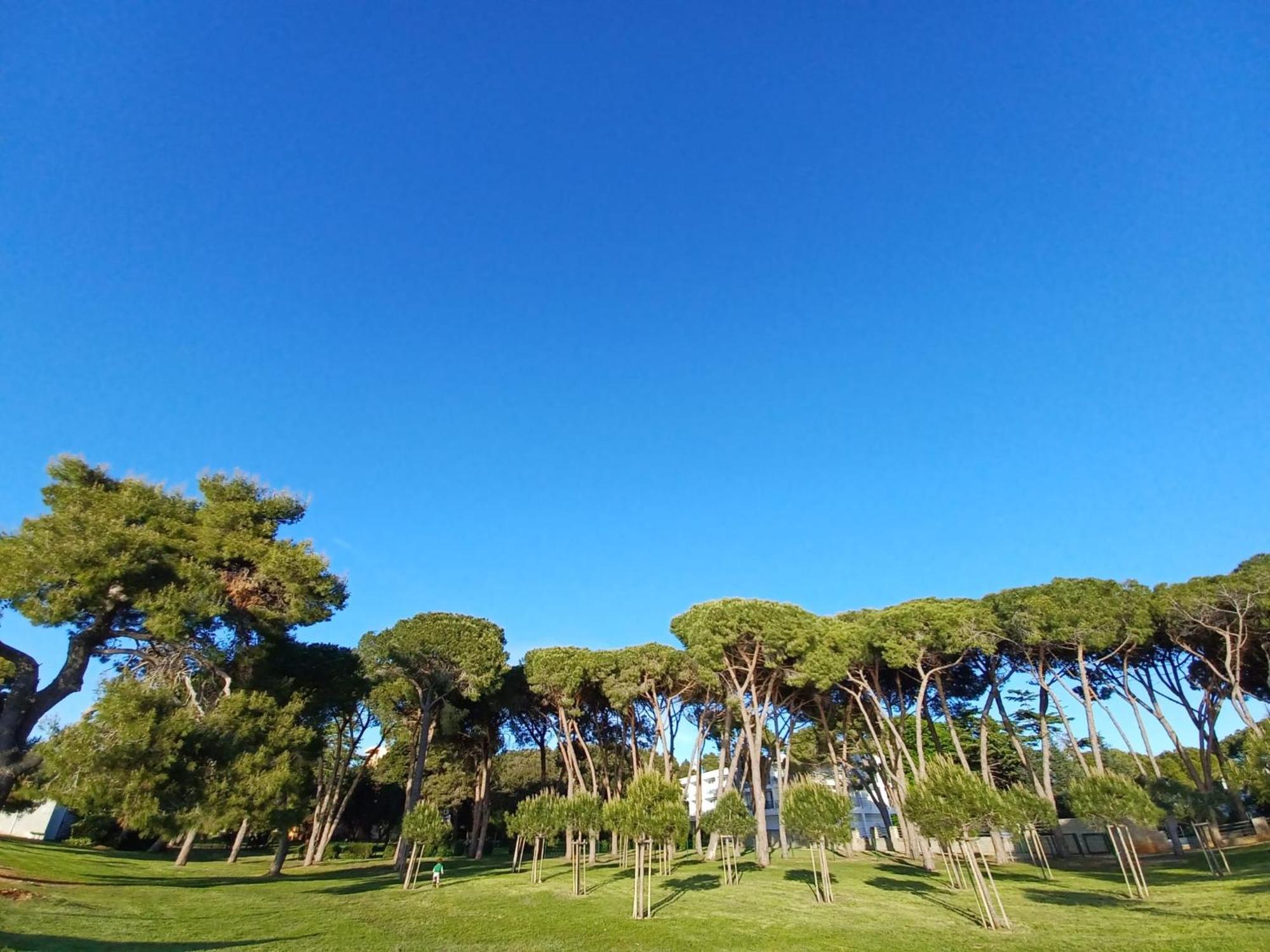 Family Apartments Zadar - Ryanair Exclusive エクステリア 写真