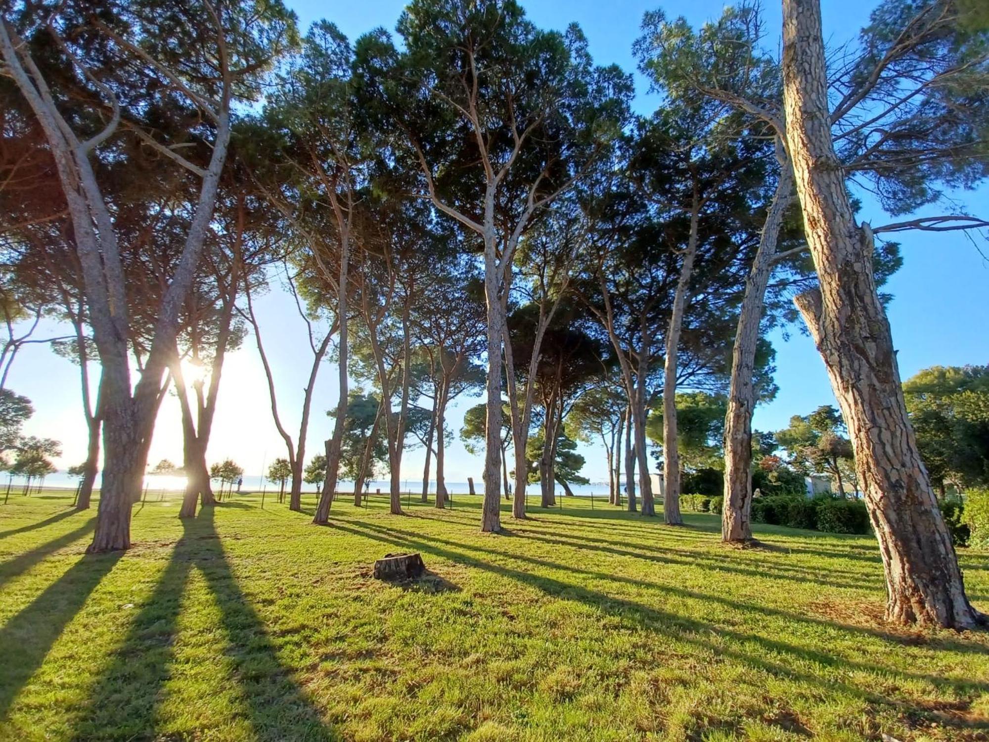 Family Apartments Zadar - Ryanair Exclusive エクステリア 写真
